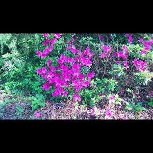 Meet your Posher, Lay